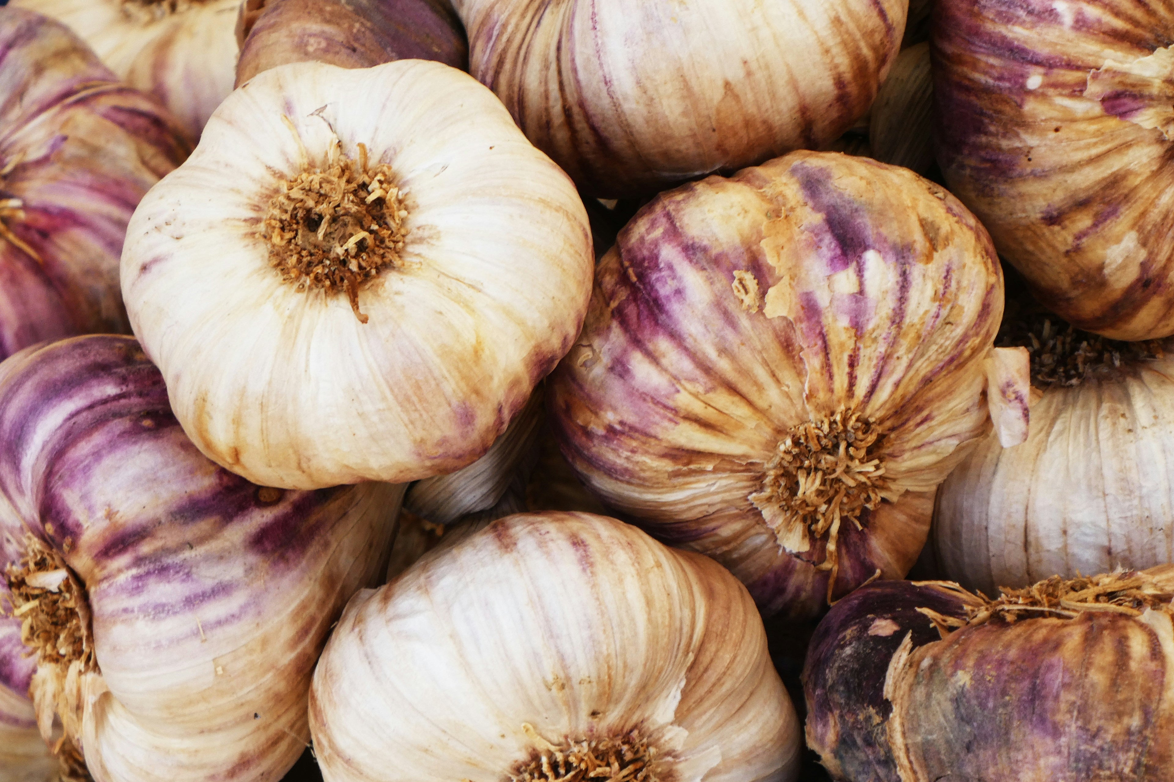 WUNDERKNOLLE - KNOBLAUCH