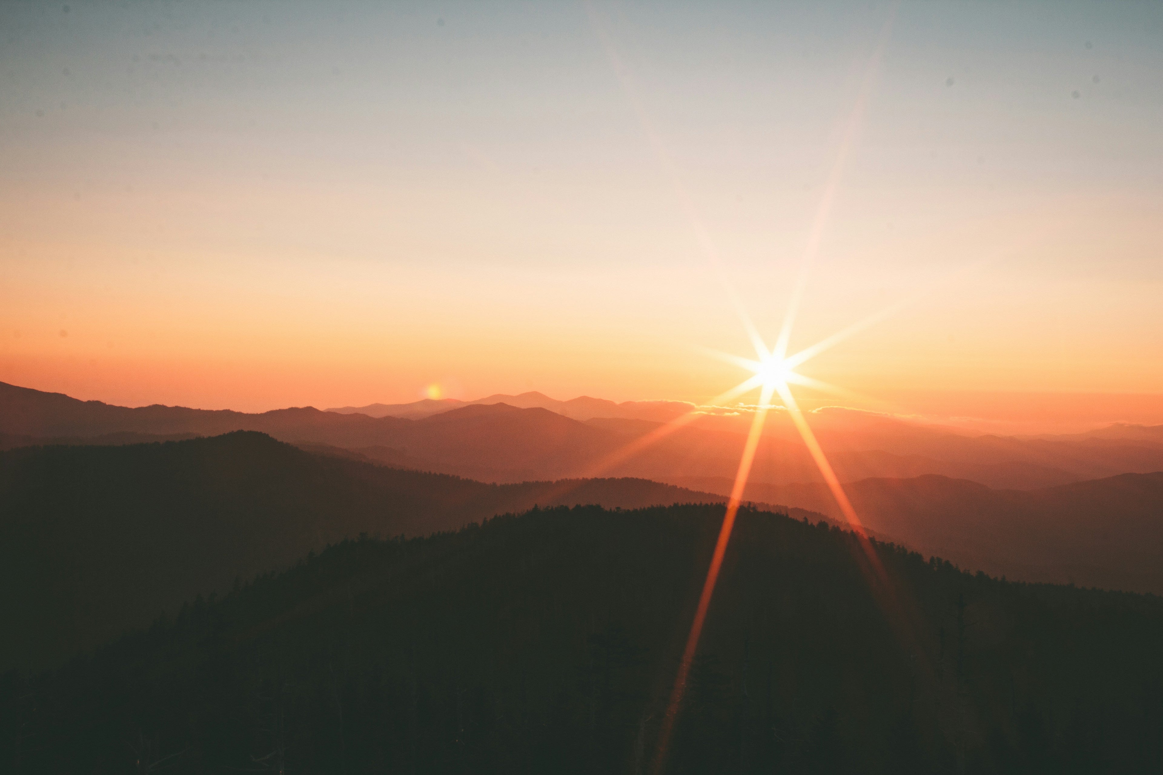 VITAMIN D | Das SONNENVITAMIN
