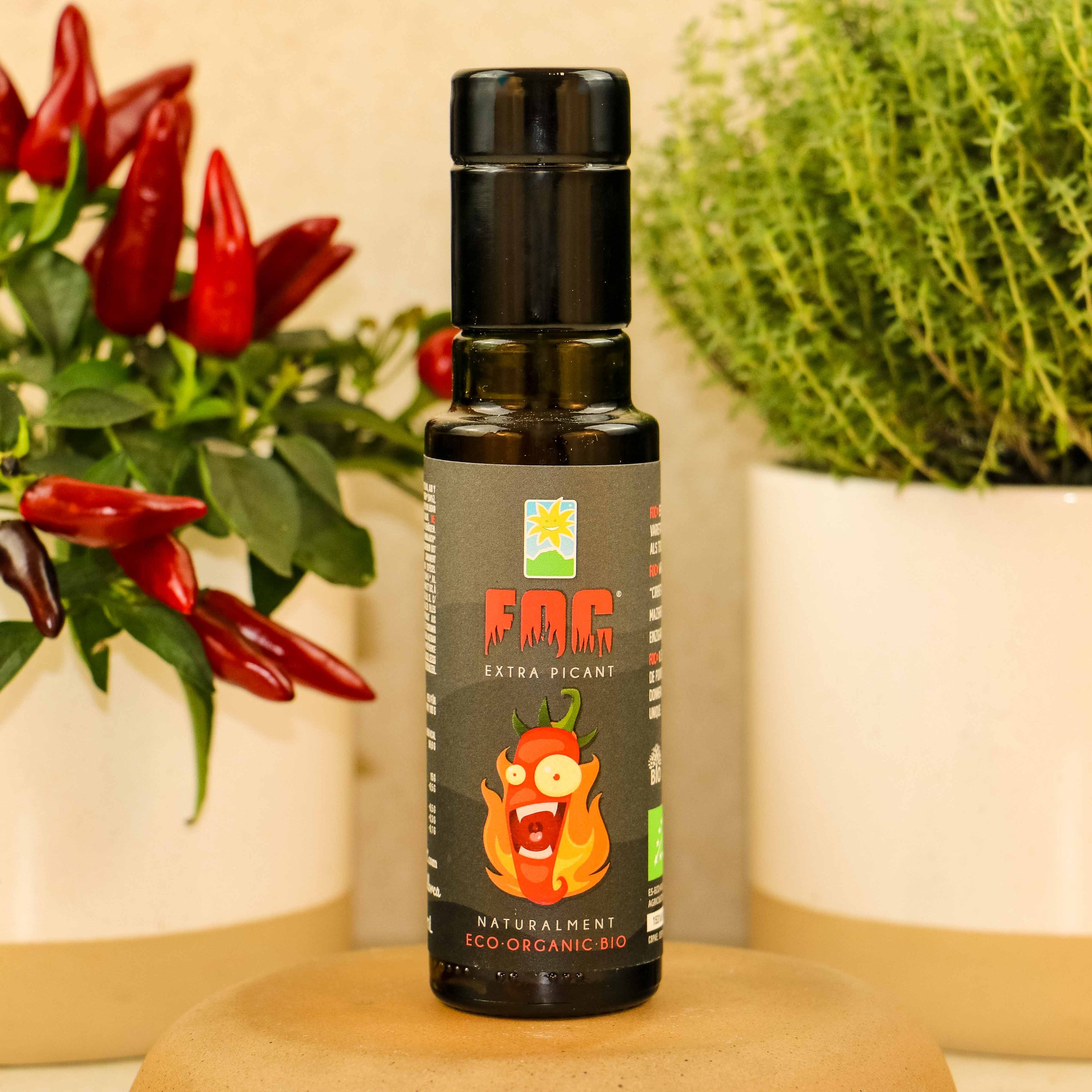 FOC Chilli-Olivenöl natur extra, Fet a Soller
