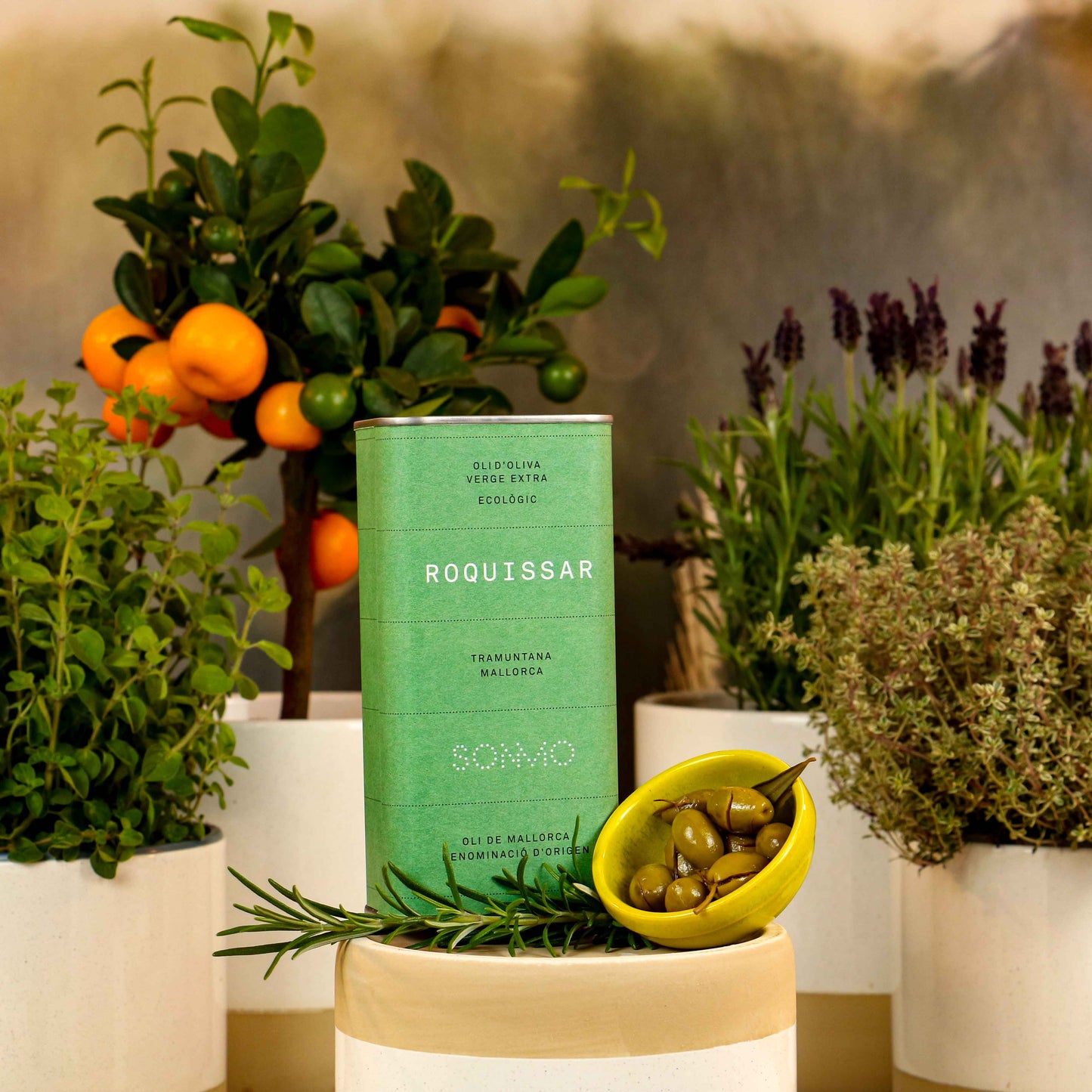 Es Roquissar extra virgin olive oil