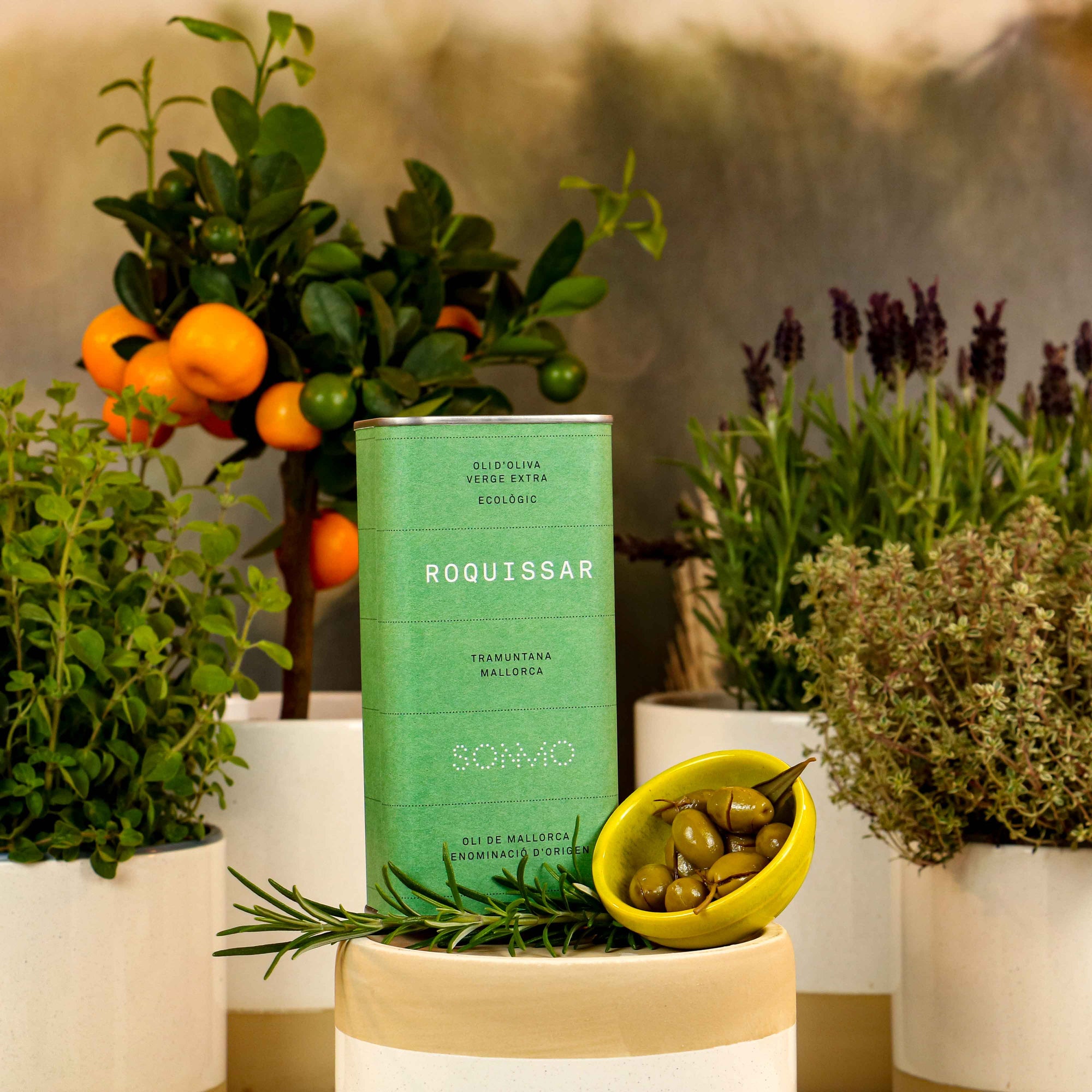 Olivenöl Es Roquissar nativ extra