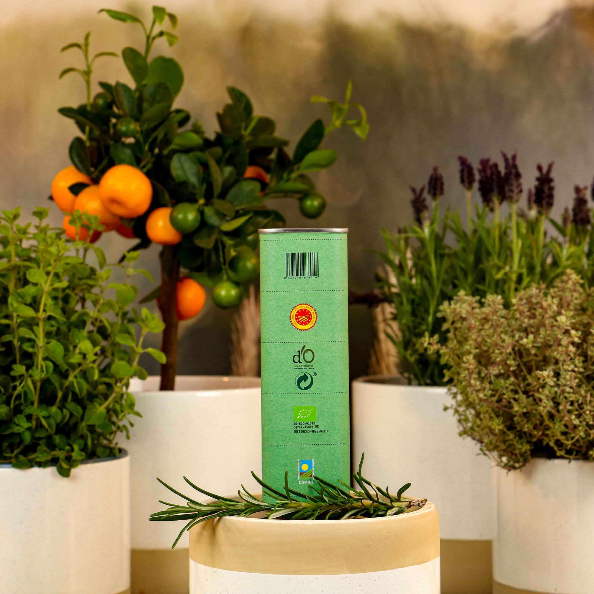 Olivenöl Es Roquissar nativ extra