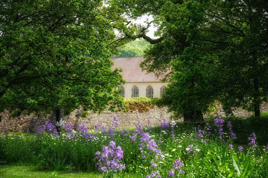 Verwunschener, idyllischer grüner Klostergarten. Dem Herkunftsort der Rezeptur der LA VIDA BitterKräuter.