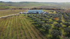 Biancolilla Olivenöl extra nativ